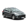 Categorie Peugeot 207SW Stuurbekrachtigingspomp image